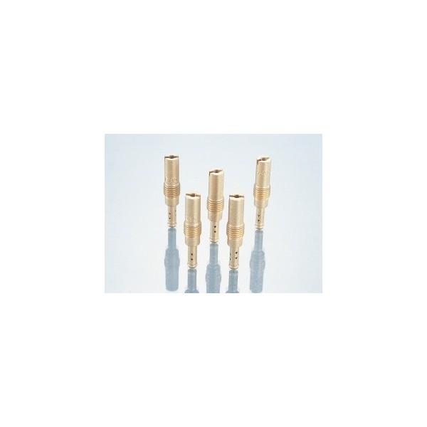 pCbgWFbgiP[q PWK28/PE24pj#50 KITACOiL^Rj