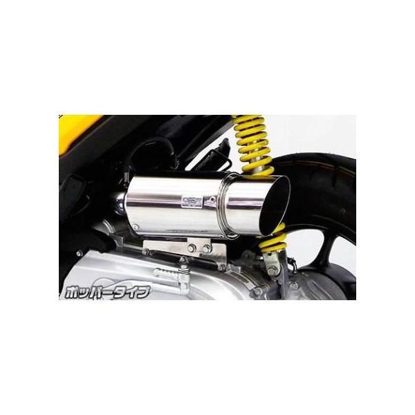 TCT[^ GAN[i[Lbg |bp[^Cv ECYEBiWirusWinj Y[}[XiZOOMERXj