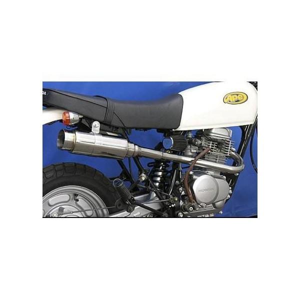 C}t[ oY[J[^Cv ECYEBiWirusWinjAPEiGCvj100