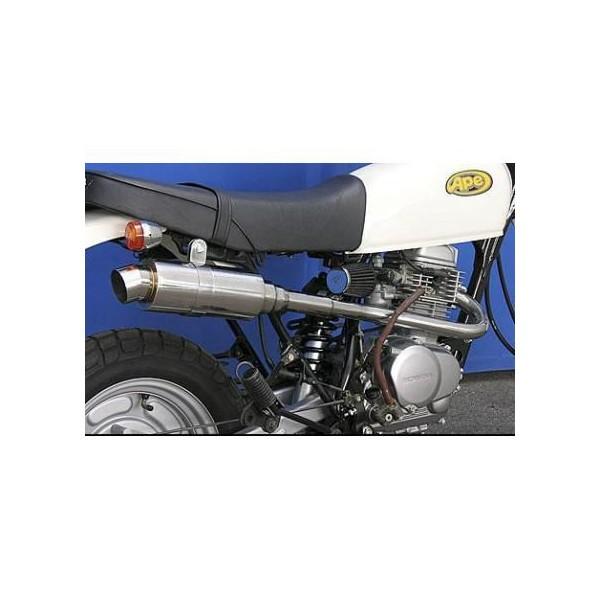 C}t[ X|[c^Cv ECYEBiWirusWinjAPEiGCvj100