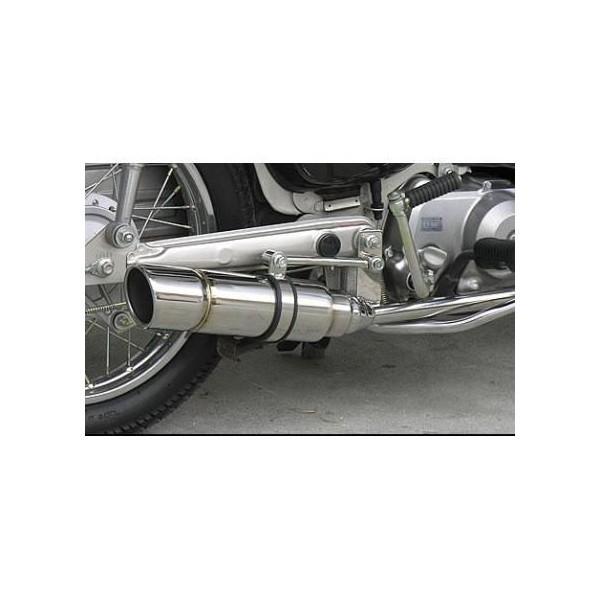 ロイヤルマフラーポッパータイプ ウイルズウィン（WirusWin