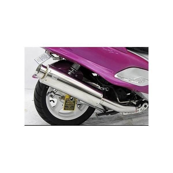 rbOoY[J[}t[ ECYEBiWirusWinj}WFXeB125iMAJESTY125j