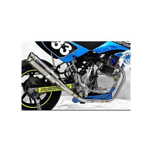 [VO}t[  ECYEBiWirusWinjXR100^[h