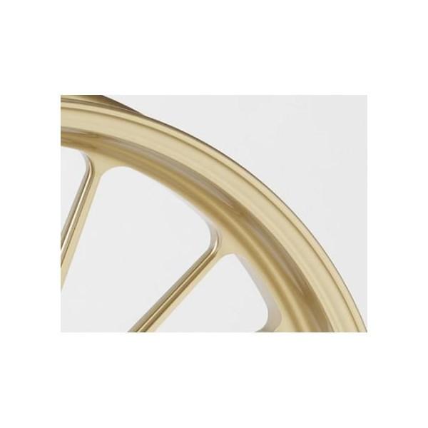 TYPE-SiA~jEjbzC[ S[h F350-17 GALE SPEEDiQCXs[hj GPZ900R NinjaijWj A7`