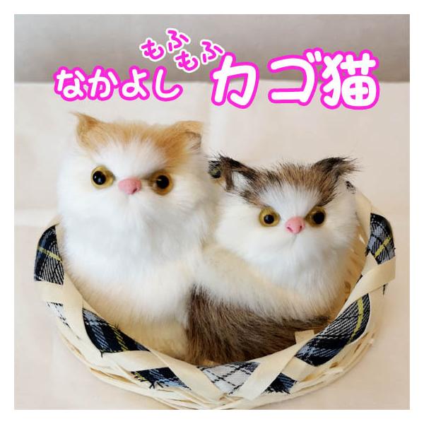 Lʂ kCO~ ˂ lR ɂ C  킢 u