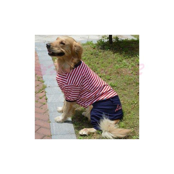 犬服 カバーオール ロンパース 夏 犬の服 中型犬 大型犬 クール ひんやり 蒸れない 風通し抜群 ドッグウェア お散歩 Buyee Buyee Japanese Proxy Service Buy From Japan Bot Online