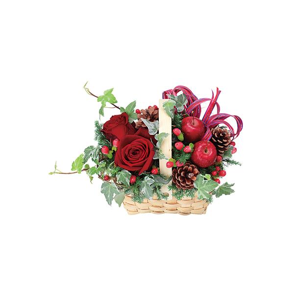 ԃL[sbg AWg y512066z iNX}XɂE߁Ij