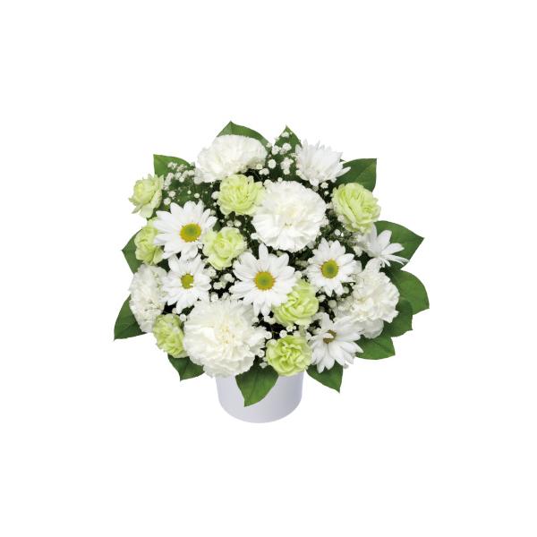 ◆通年商品◆花キューピット　アレンジメント　ワンサイド◆サイズ／H27・W26・D17◆お供え・お悔やみ・ご葬儀・法要・供花・枕花・お盆・お彼岸・その他