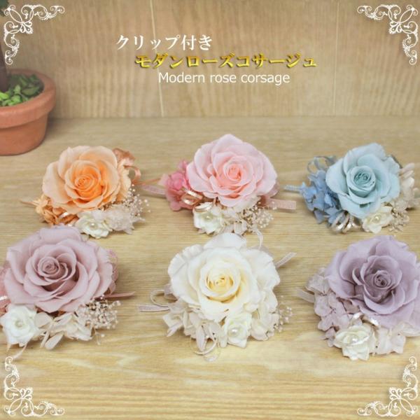 Nbvt_[YRT[W P[X vU[uht[ RT[W w Ǝ  T  A _ tH[}