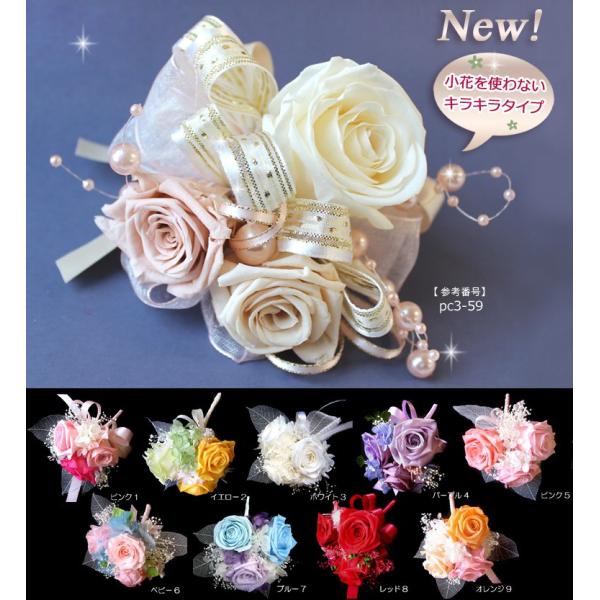 v~A premiun P[X RT[W vU[uht[ w Ǝ  T  u[` p[ tH[}