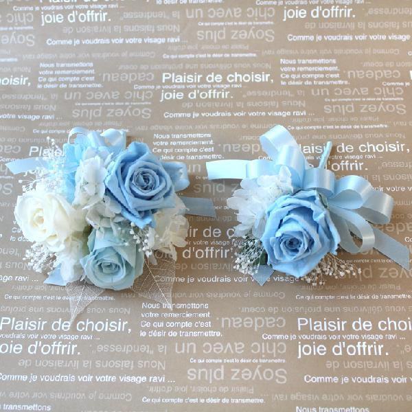 eqł낢I [YRփRT[W{RT[WZbg vU[uht[ w Ǝ  T  tH[}  