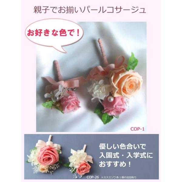 eqł낢 RT[Weqł낢 P[X@vU[uht[ w Ǝ  T  u[` tH[}  