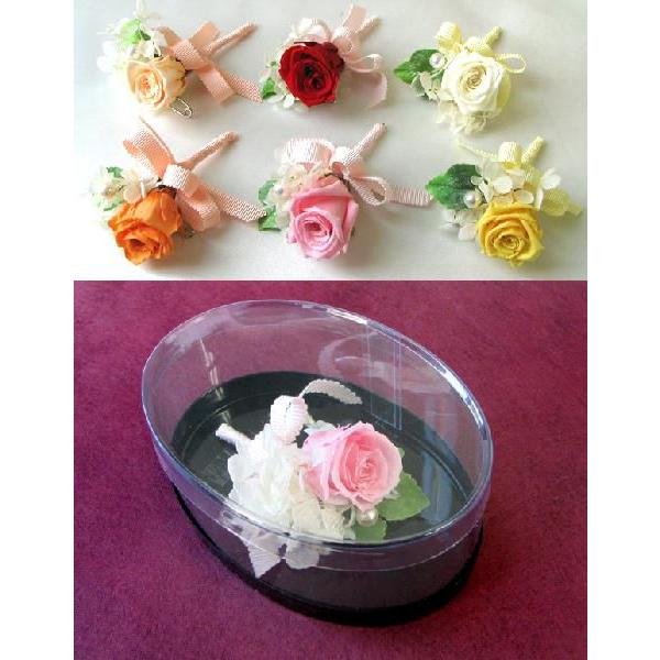 p[RT[WESst STCYP[X vU[uh t[ w Ǝ  T  u[` tH[}  