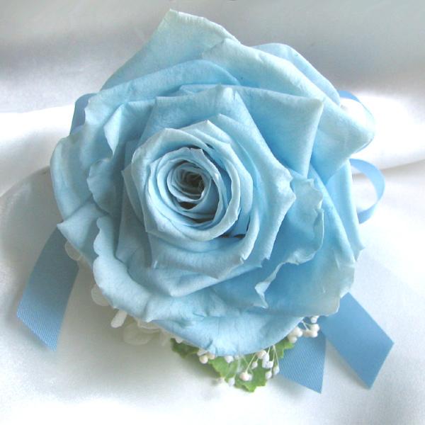 ART[W vU[uht[RT[W vU[uht[ w Ǝ  T  u[` tH[}  