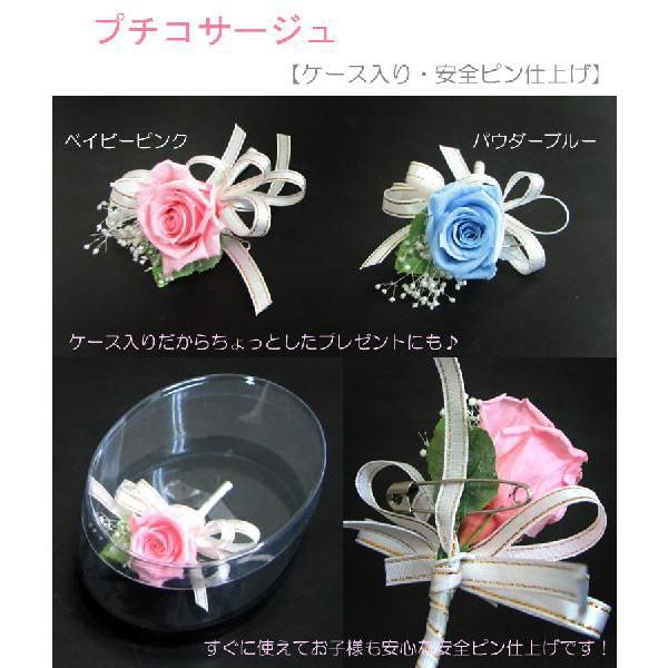 v`RT[W P[XESsdグ vU[uht[ w Ǝ  T  u[` tH[}  