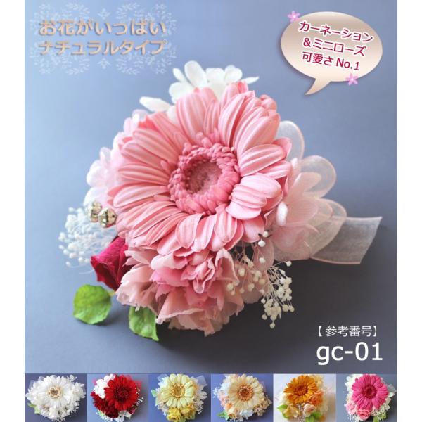 K[xRT[W RT[W vU[uht[ w Ǝ  T  u[` tH[}  