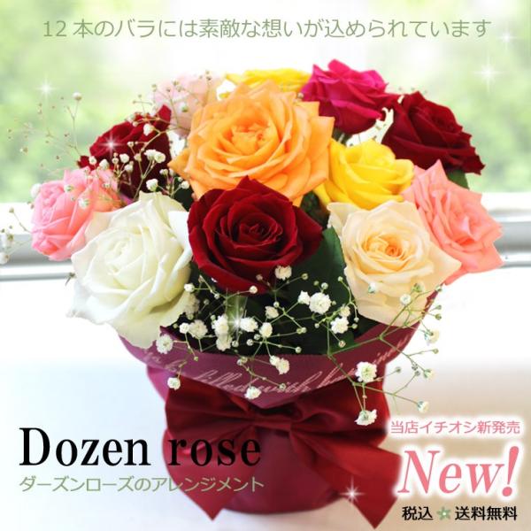  ꕔn  a LO v[gnEB NX}X vw̓  ސE} җ _[Y[ỸAWg@