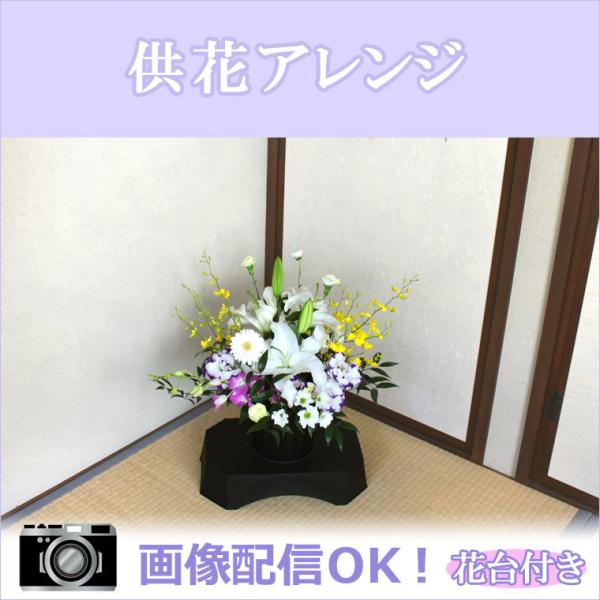  ꕔn     @    ybg  ފ ~ hV ԑt AW lTCYPizCgn@