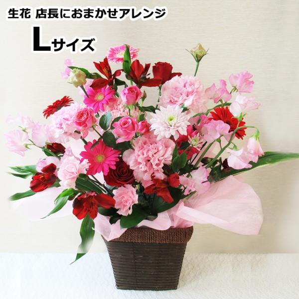 最短 翌日配達 14時まで 送料無料 一部地域を除く 生花 誕生日