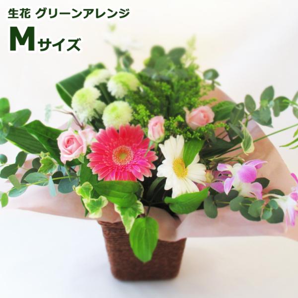 送料無料(一部地域を除く) New! 生花 グリーンアレンジMサイズ お誕生日 お供え 卒業 入学 合格祝い 入学祝い ホワイトデー 花 プレゼント 記念日