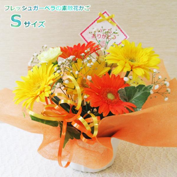 ■お届けについてのご注意・配送に2日以上かかる北海道、沖縄、青森県、鹿児島県、宮崎県、一部地域へのお届けと月曜日のお届けが出来ません。※鮮度維持の為にも1日も早く梱包用箱より出して頂きたい為、何卒ご了承ください。■形　　態　・　花 　 材　...