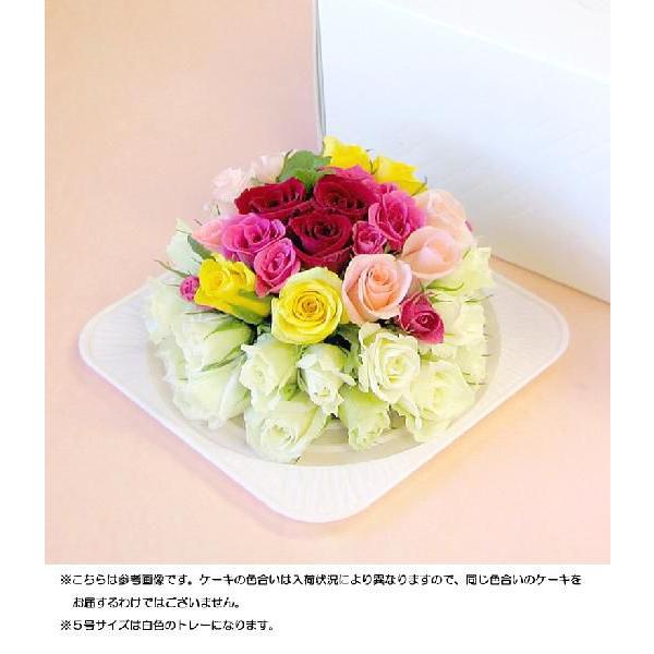  ꕔn  a LO v[gt[P[L nEB NX}X vw̓  oY җ o j [YdeP[L 5@