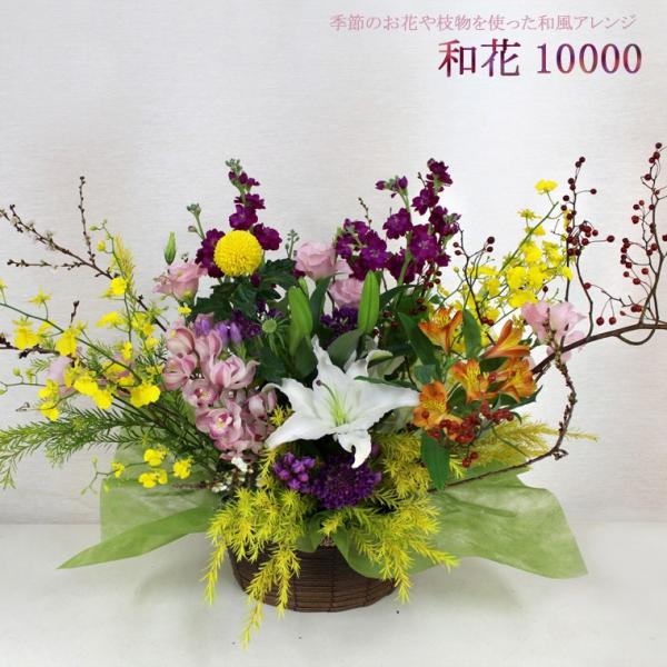 ŒZ zB 14܂  ꕔn  a j    a G  AW hV ̓ hV̓ aDXTCY@