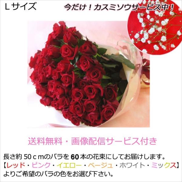  ꕔn  ԑ a LO v[g   nEB NX}X vw̓ җ o j Yn 60{ỏԑLTCY