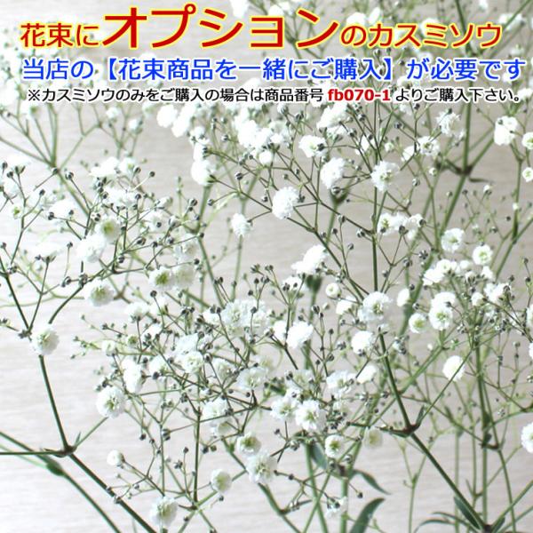 オプション バラやガーベラの花束にカスミソウ カスミソウのみのご注文の場合後ほど送料を承ります 5 6 5 9はお届け出来ません Fb070y あれんじhana倶楽部 通販 Yahoo ショッピング