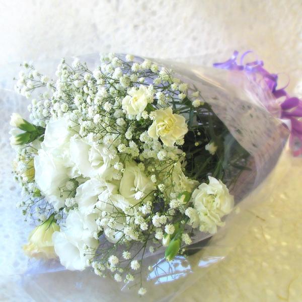 ŒZ zB 14܂  ꕔn揜  ԑ p    ybg   hV̓ ފ  ԑMTCYzCgn