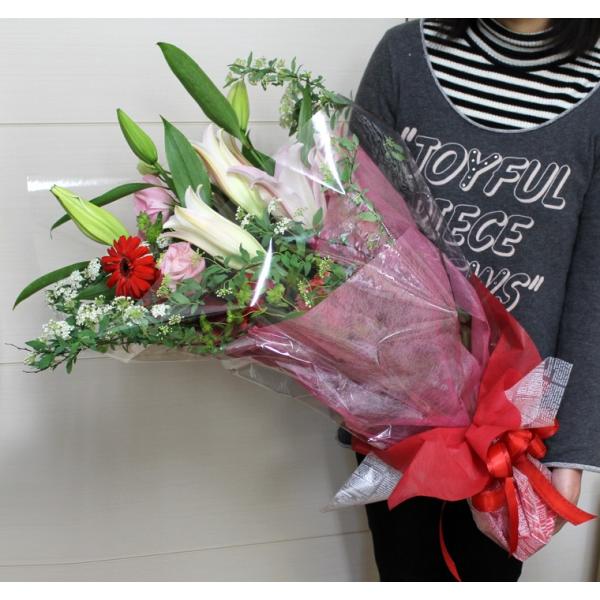 ŒZ zB 14܂ @ ꕔn  ԑ a   LO v[g  hV̓ ފ Xɂ܂ԑDX TCY