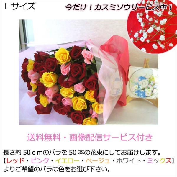  ꕔn  ԑ a v[g onEB NX}X vw̓  җ j Yn 50{̃ỏԑLTCY ؂ o