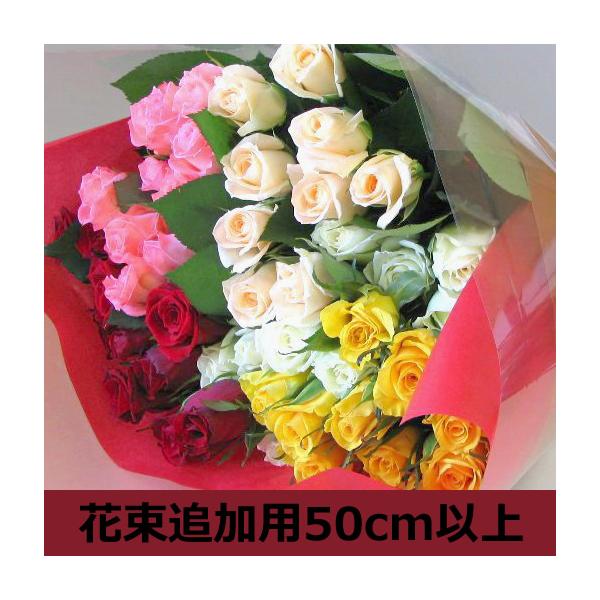  ꕔn  IvV ỏԑL TCY ǉp aɔN̐I ԑ ؉ a j v[g nEB NX}X