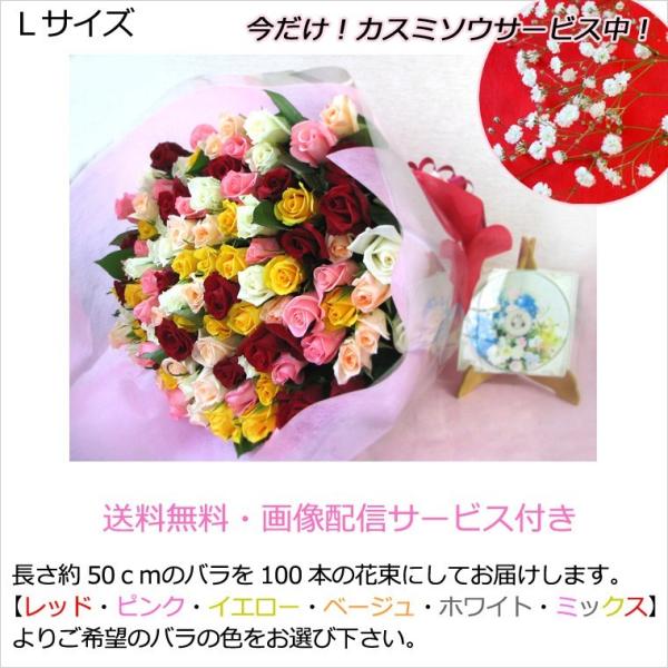  ꕔn  ԑ a LO v[g nEB NX}X vw̓ ސE } җ j Yn 100{ỏԑLTCY