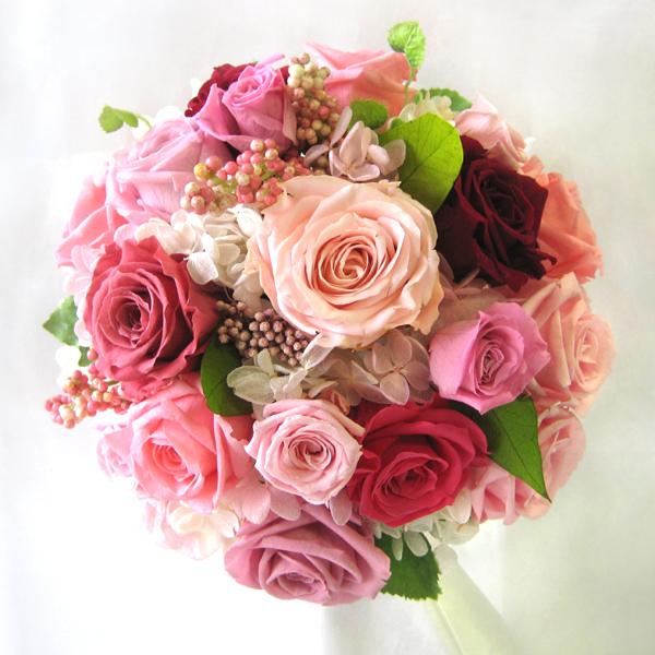  ꕔn vU[uht[ EFfBO  j uC_u[P u[gjA Zbg Eha18cm v[gt 