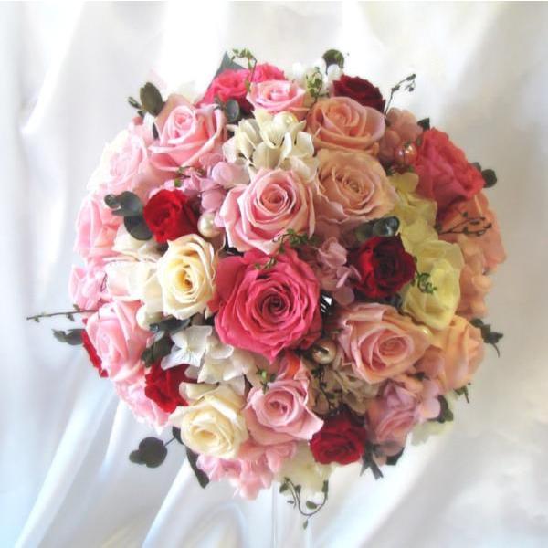  ꕔn vU[uht[ EFfBO uC_u[P u[gjA Zbg S[WXEhu[P a25cmv[gt 