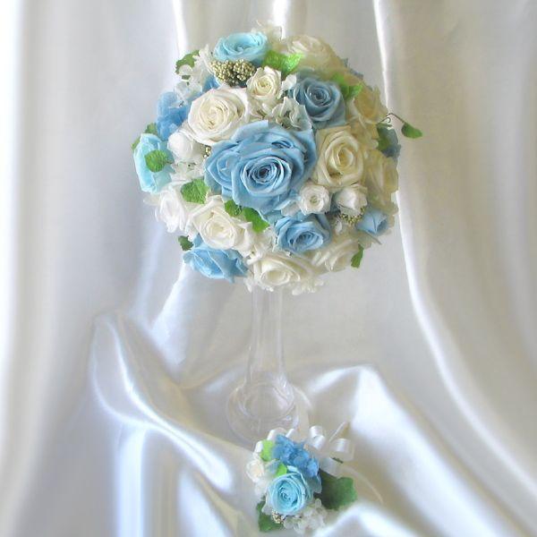  ꕔn vU[uht[ u[P u[gjA Zbg tH[J|Cgւ̃o TVOu[a20cm v[gt  