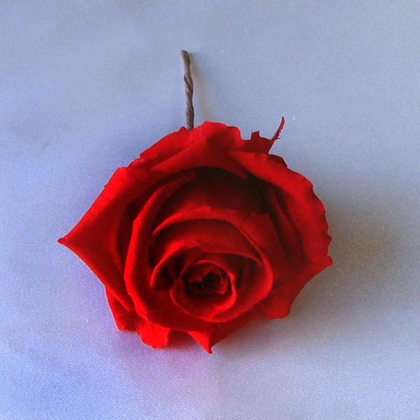 こちらの商品は納期を５日程頂いております。ご希望お届け日をご注文時の備考欄にご記入下さい。お急ぎの場合は出来る限り対応させて頂きますので、お気軽にお電話にてお問い合わせ下さい。TEL:0566-42-8843 ■おすすめポイント・ヘッドドレ...