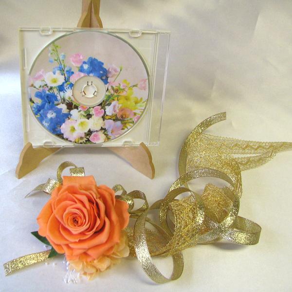 vU[uht[ uC_ S[WX{ * ÃXgu[P Xgbg RT[W^  Cxg