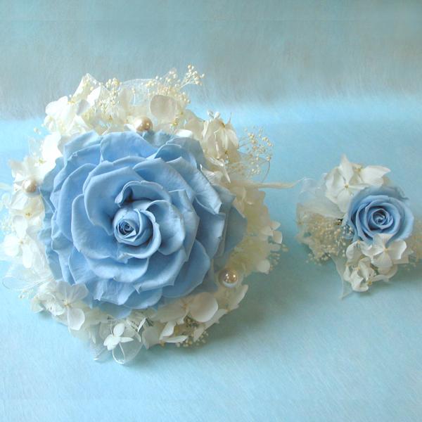  ꕔn vU[uht[ uC_u[P u[gjA Zbg Au[P a20cm v[gt EFfBO  j@