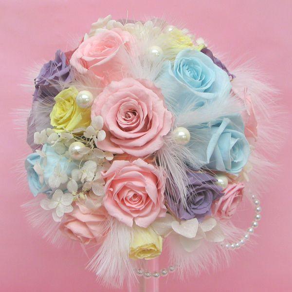  ꕔn vU[uht[ uC_u[P u[gjA Zbgt@[ƃp[ u[~bNX a20cm v[gt 