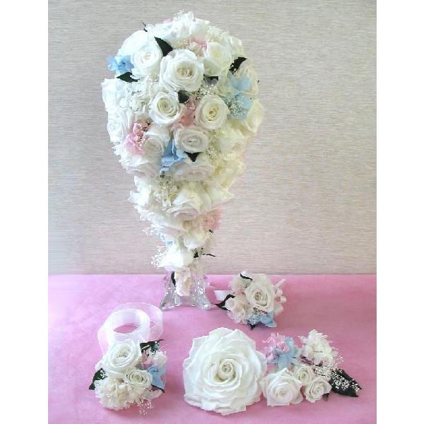  ꕔn vU[uhEu[P LXP[hu[P LXP[hu[PW20×H40cmEu[gjAEwbhhX Zbg  uC_