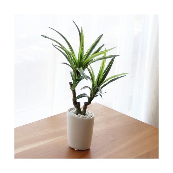 lHϗtA tFCNO[ hZi bJ 28cm LRۉH  CeA  fBXvC j JXj Vzj