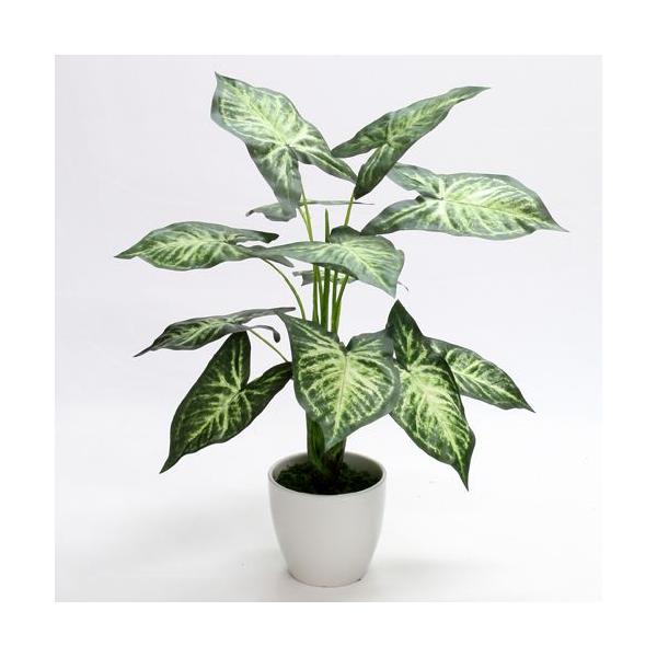 lHϗtA tFCNO[ lteB 65 LRۉH  CeA  fBXvC j JXj Vzj