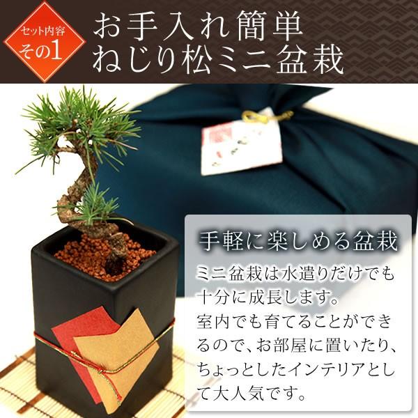 敬老の日 プレゼント お菓子 松 盆栽 贈り物 花とスイーツ 70代 80代 Buyee 日本代购平台 产品购物网站大全 Buyee一站式代购 Bot Online
