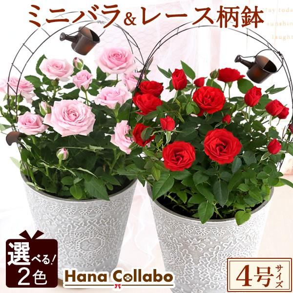 【おすすめ用途】誕生日 プレゼント バースデー ギフト プチギフト 贈り物 贈答 手土産 帰省土産 記念日 お祝い 内祝い 退職祝い お見舞い 快気祝い 出産祝い 出産内祝い 結婚内祝い お礼 お返し 長寿祝い 結婚祝い 引っ越し祝い 新築...