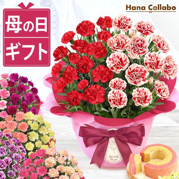 母の日 カーネーション 花 寄せ植え ギフト 花とスイーツ 2026 鉢植え