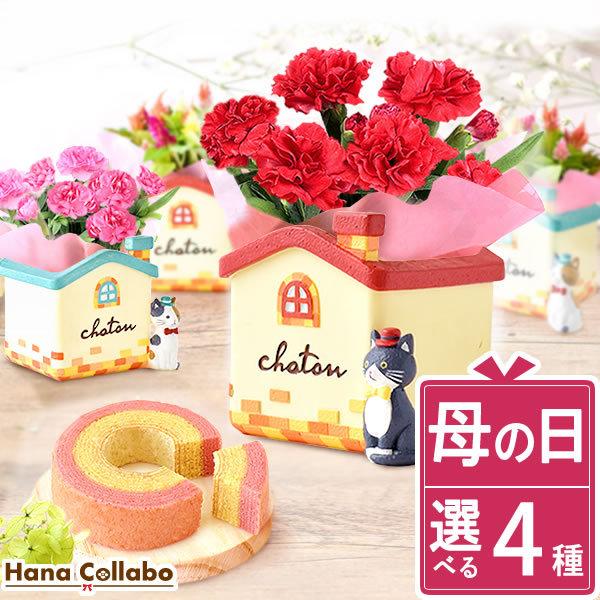 母の日 21 プレゼント 花とスイーツ 母の日ギフト カーネーション 鉢植え お菓子 ギフトランキング 猫 アニマル キャラクター メッセージ 50代 60代 70代 80代 Flower Jset プレゼント ギフト 花コラボ 通販 Yahoo ショッピング