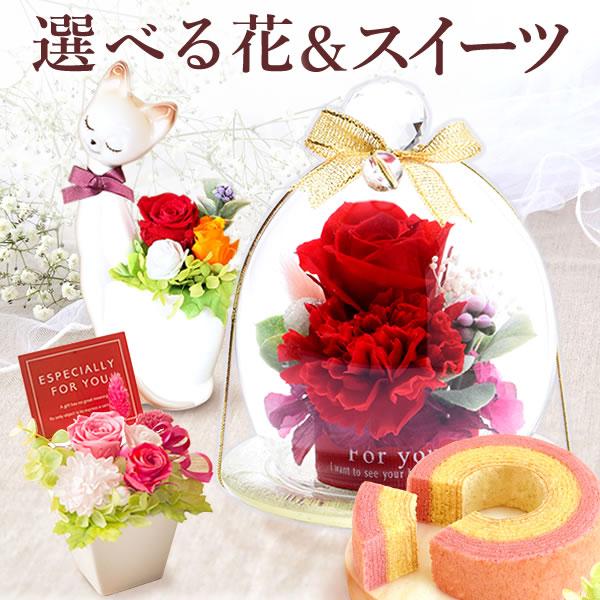 猫好き女性に贈る花とスイーツ誕生日ギフト