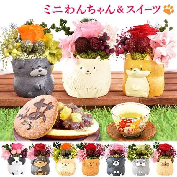 おすすめ 用途 誕生日 プレゼント バースデー ギフト プチギフト 贈り物 贈答 手土産 帰省土産 記念日 お祝い 内祝い 退職祝い お見舞い 快気祝い 出産祝い お供え 長寿祝い 結婚祝い 引っ越し祝い 新築祝い 銀婚式 金婚式 七五三 ...